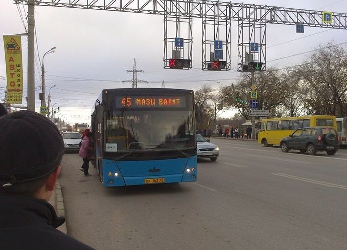 Забавные картинки
