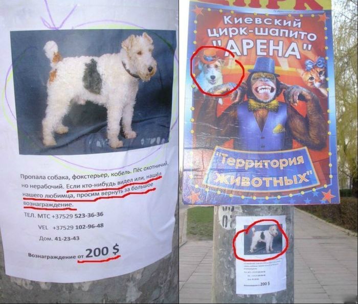 Забавные картинки