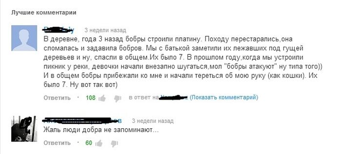 Забавные картинки