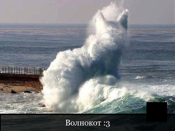 Забавные картинки