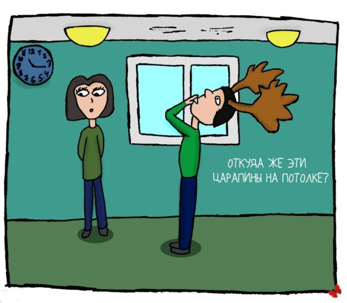 Забавные картинки
