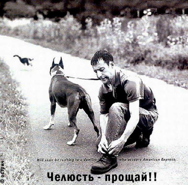 Забавные картинки