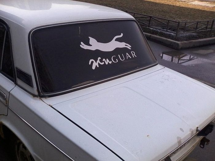 Забавные картинки