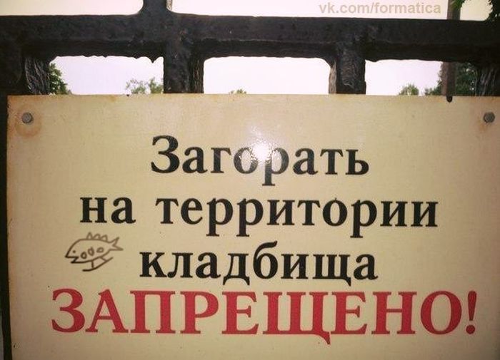 Забавные картинки