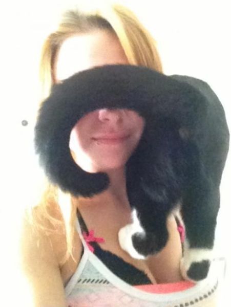 Забавные картинки