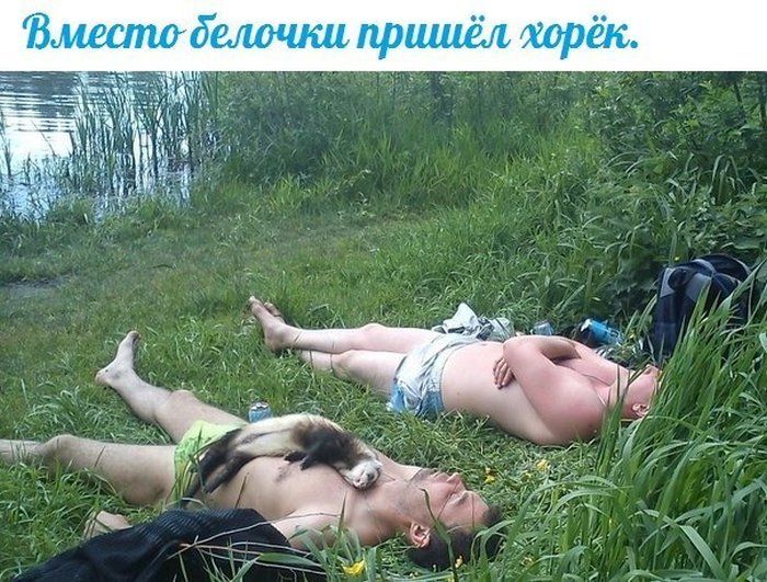 Забавные картинки