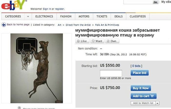 Забавные картинки