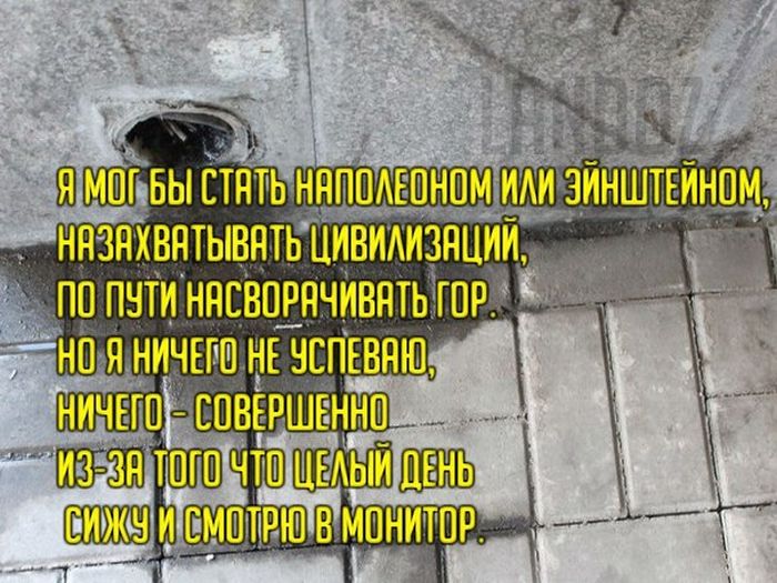 Забавные картинки