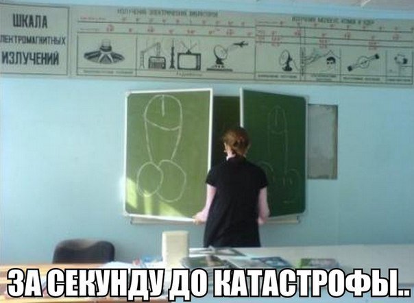 Веселые картинки