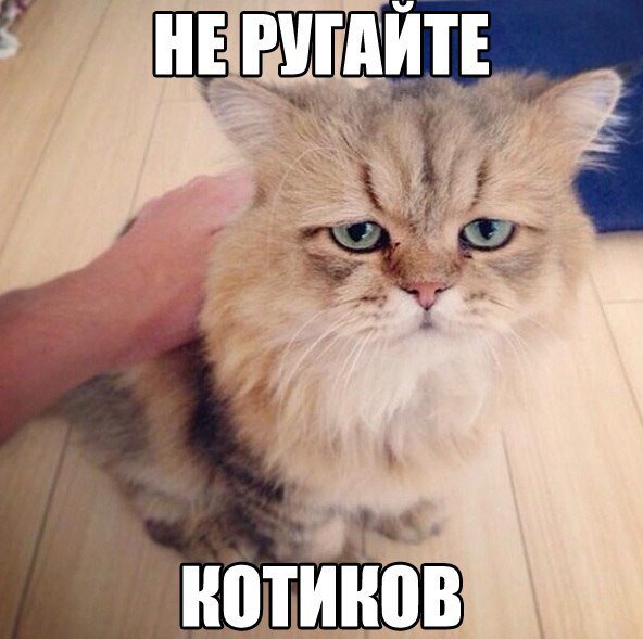 Веселые картинки