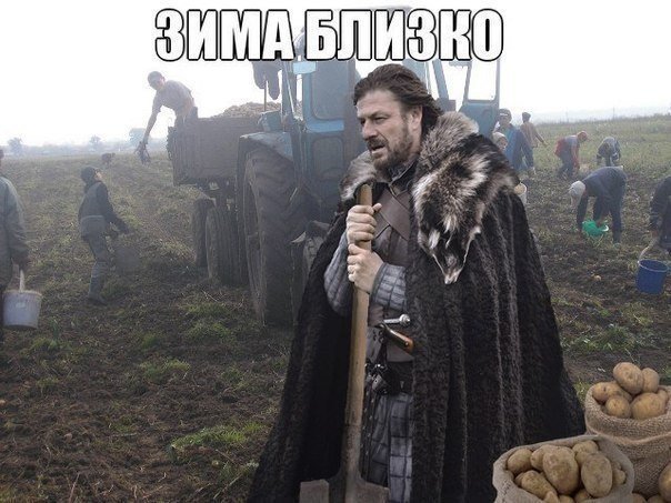 Веселые картинки