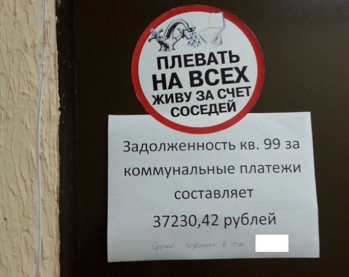 Забавные картинки