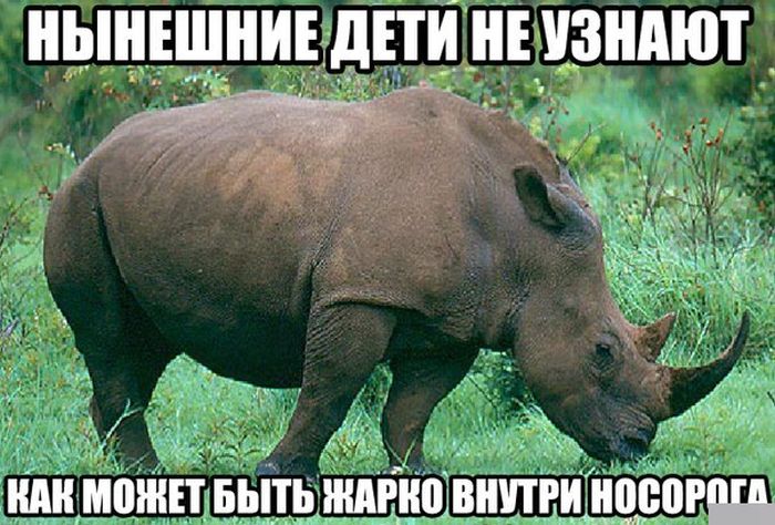 Забавные картинки