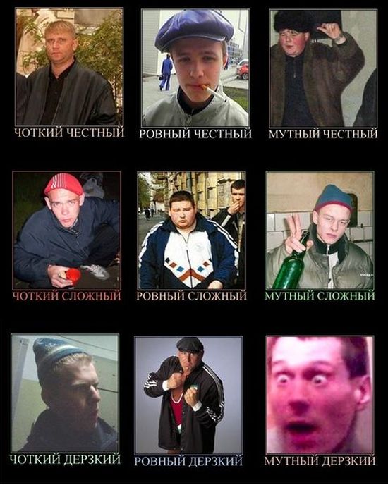 Забавные картинки