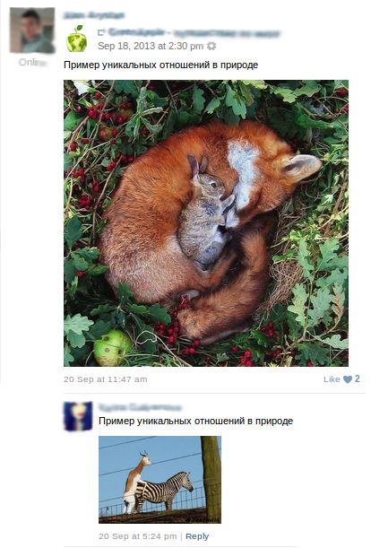Забавные картинки