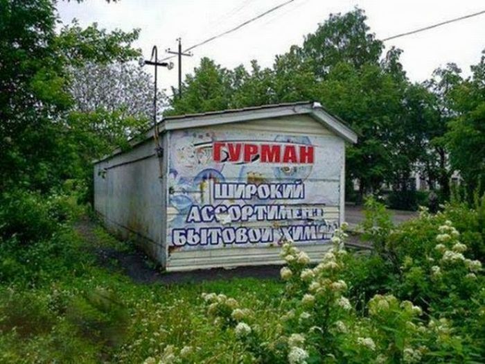 Забавные картинки