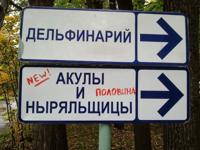 Забавные картинки