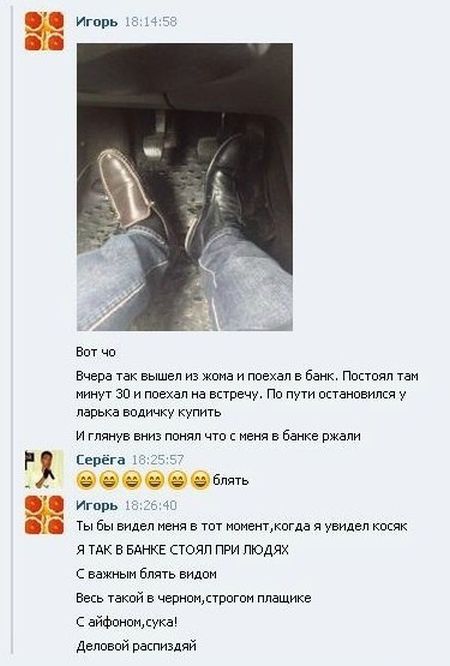 Забавные картинки