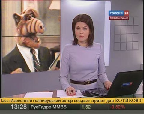 Забавные картинки