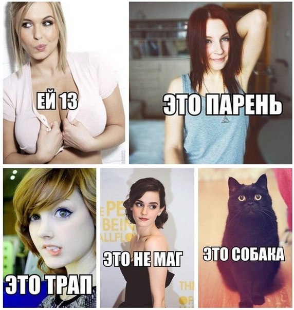 Забавные картинки