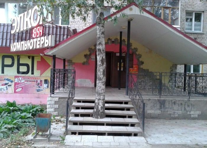 Забавные картинки