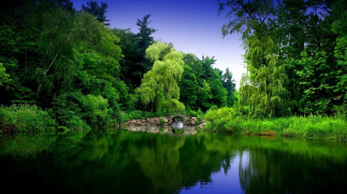 Обои на рабочий стол / Computer Desktop Wallpapers Collection 737