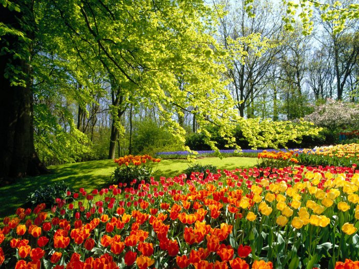 Обои на рабочий стол /Wallpapers by famdoc mix 946
