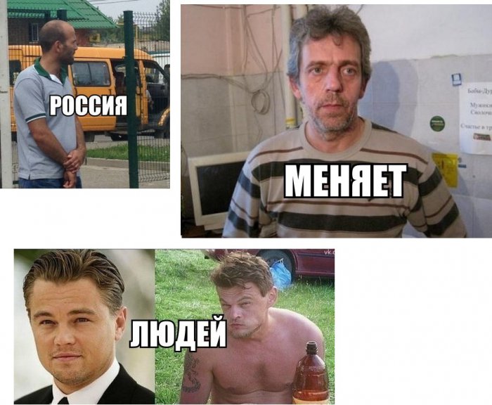 Забавные картинки