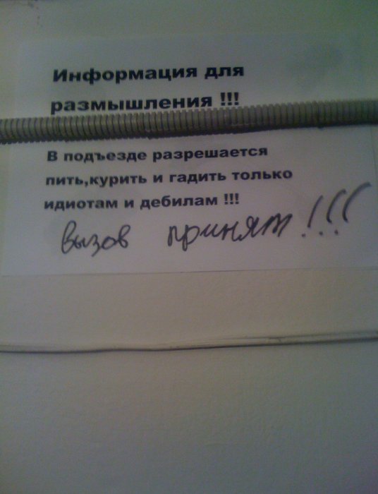 Забавные картинки