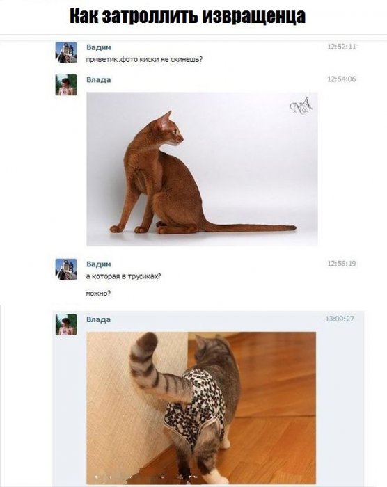 Забавные картинки