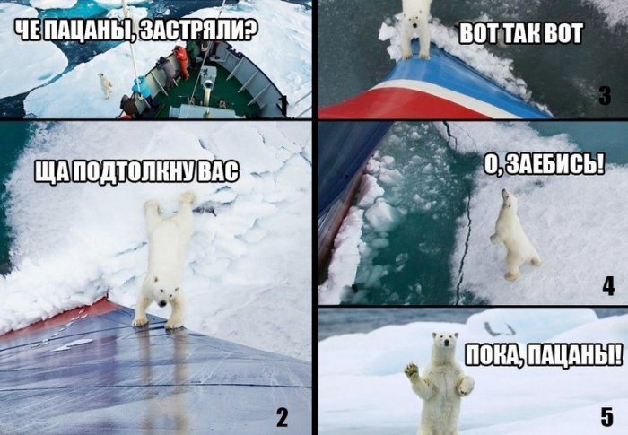 Забавные картинки