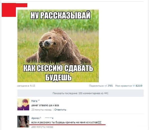 Забавные картинки