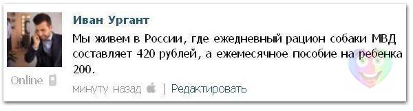 Забавные картинки
