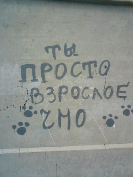 Забавные картинки