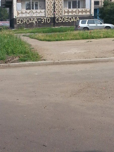 Забавные картинки
