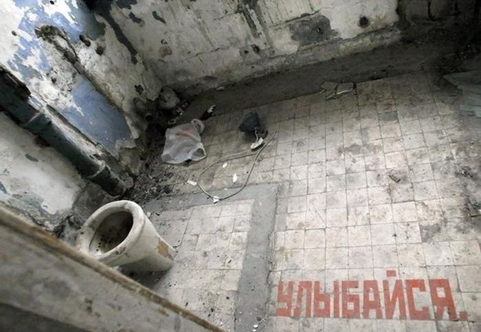 Забавные картинки