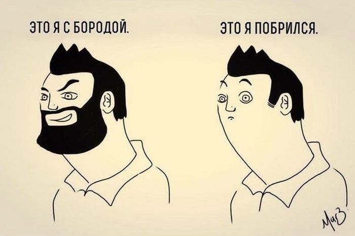 Забавные картинки