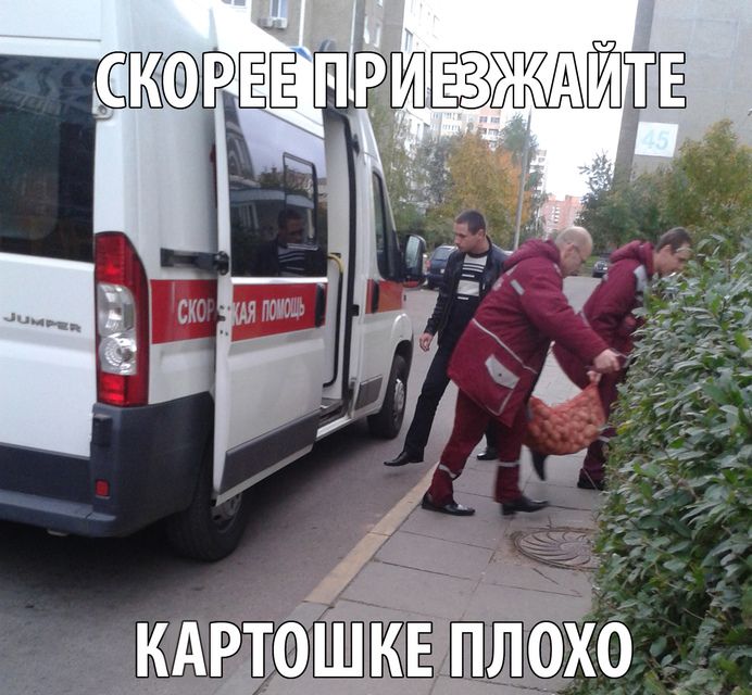 Забавные картинки