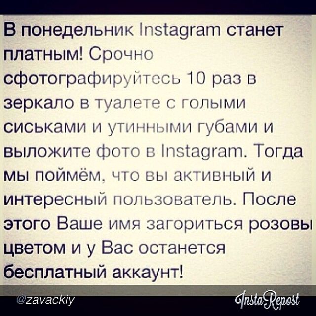 Забавные картинки