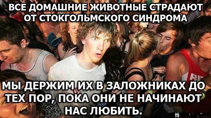 Забавные картинки