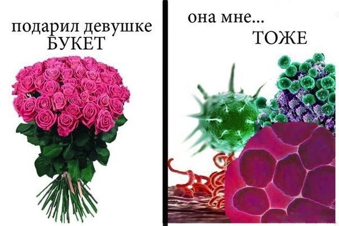 Забавные картинки