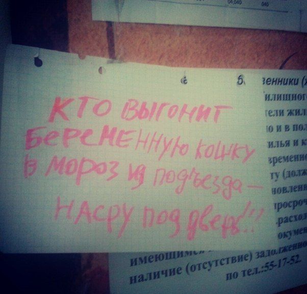 Забавные картинки