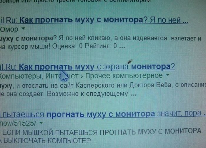Забавные картинки