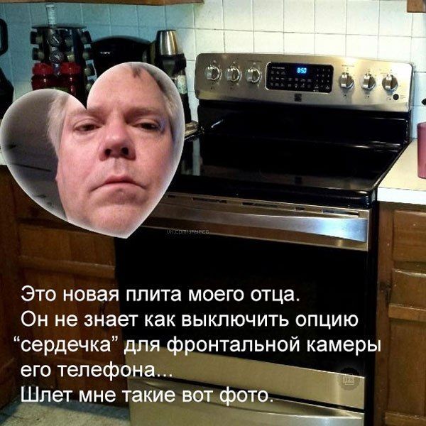 Забавные картинки