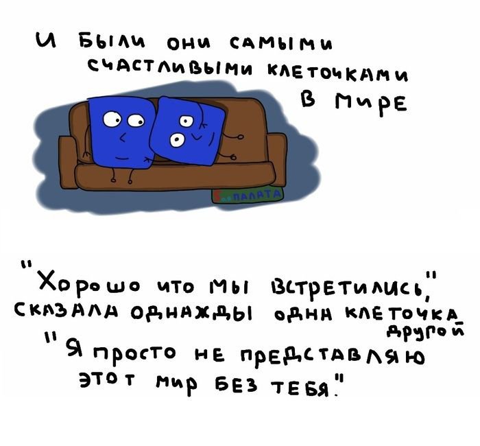 История жизни одной клеточки