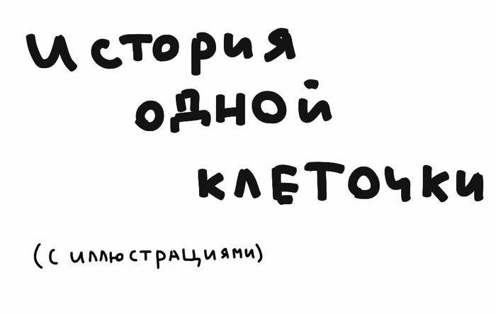 История жизни одной клеточки
