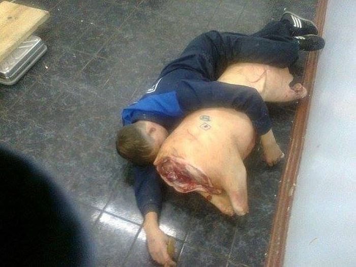 Забавные картинки