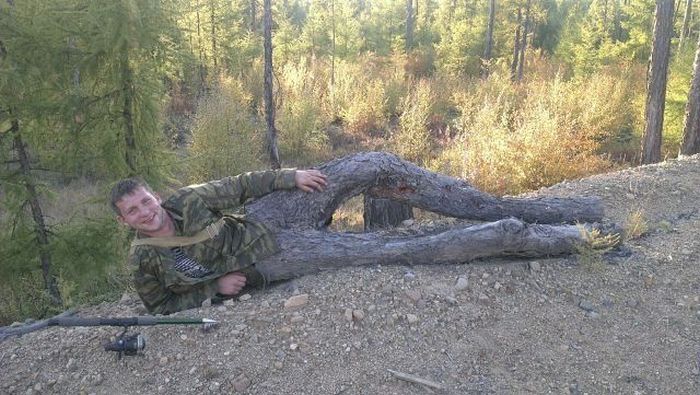 Забавные картинки