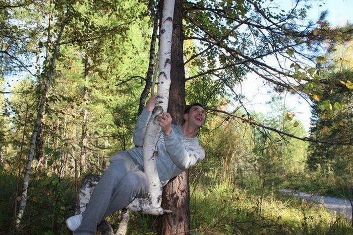 Забавные картинки