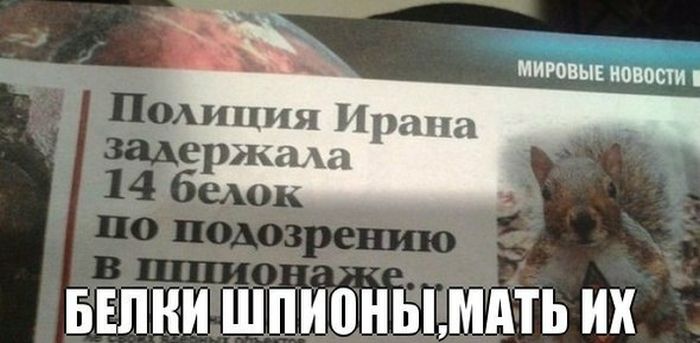 Забавные картинки
